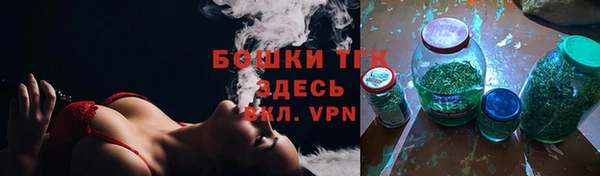 ПСИЛОЦИБИНОВЫЕ ГРИБЫ Новозыбков