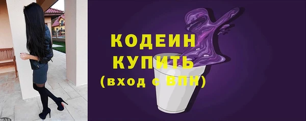ПСИЛОЦИБИНОВЫЕ ГРИБЫ Новозыбков