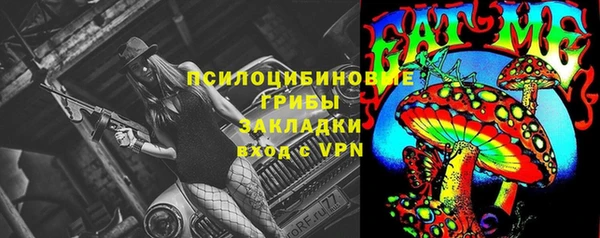 ГАЛЛЮЦИНОГЕННЫЕ ГРИБЫ Новокубанск