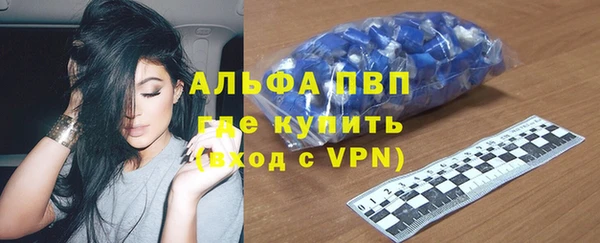 ПСИЛОЦИБИНОВЫЕ ГРИБЫ Новозыбков