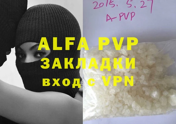 ПСИЛОЦИБИНОВЫЕ ГРИБЫ Новозыбков