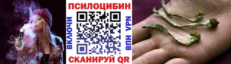 Псилоцибиновые грибы прущие грибы  mega tor  Невельск 